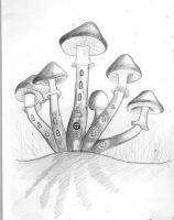Mushroom home